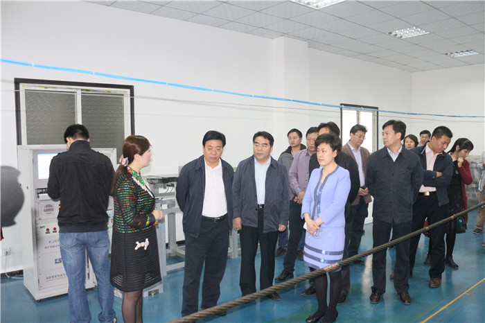 洛阳市市长及各导来洛阳丝瓜视频污片免费观看调研考察